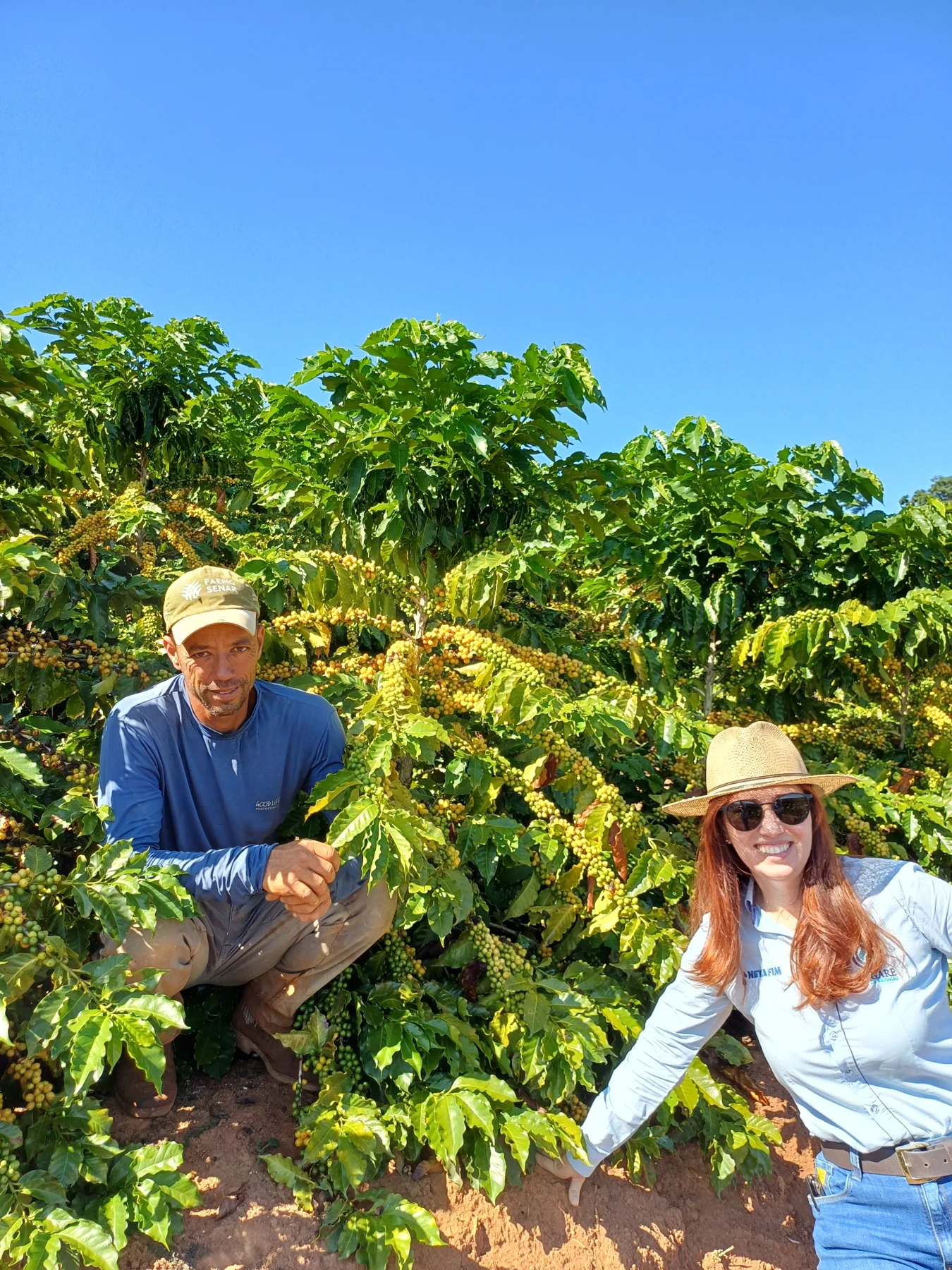 Pessoas em meio à lavoura de café durante atividade de campo